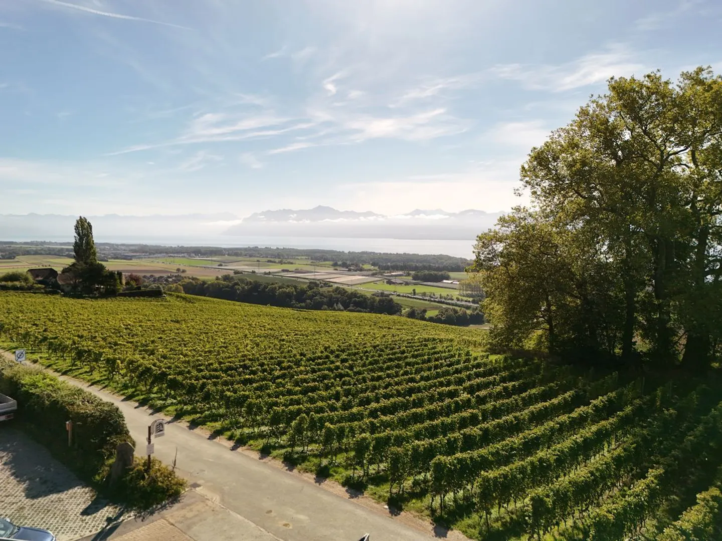 Single house for sale - Photo 10 of 10