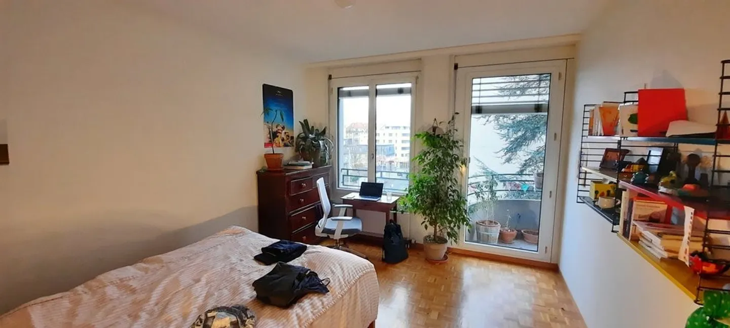 Spacious Apartment with Rhône View - Photo 5 of 12