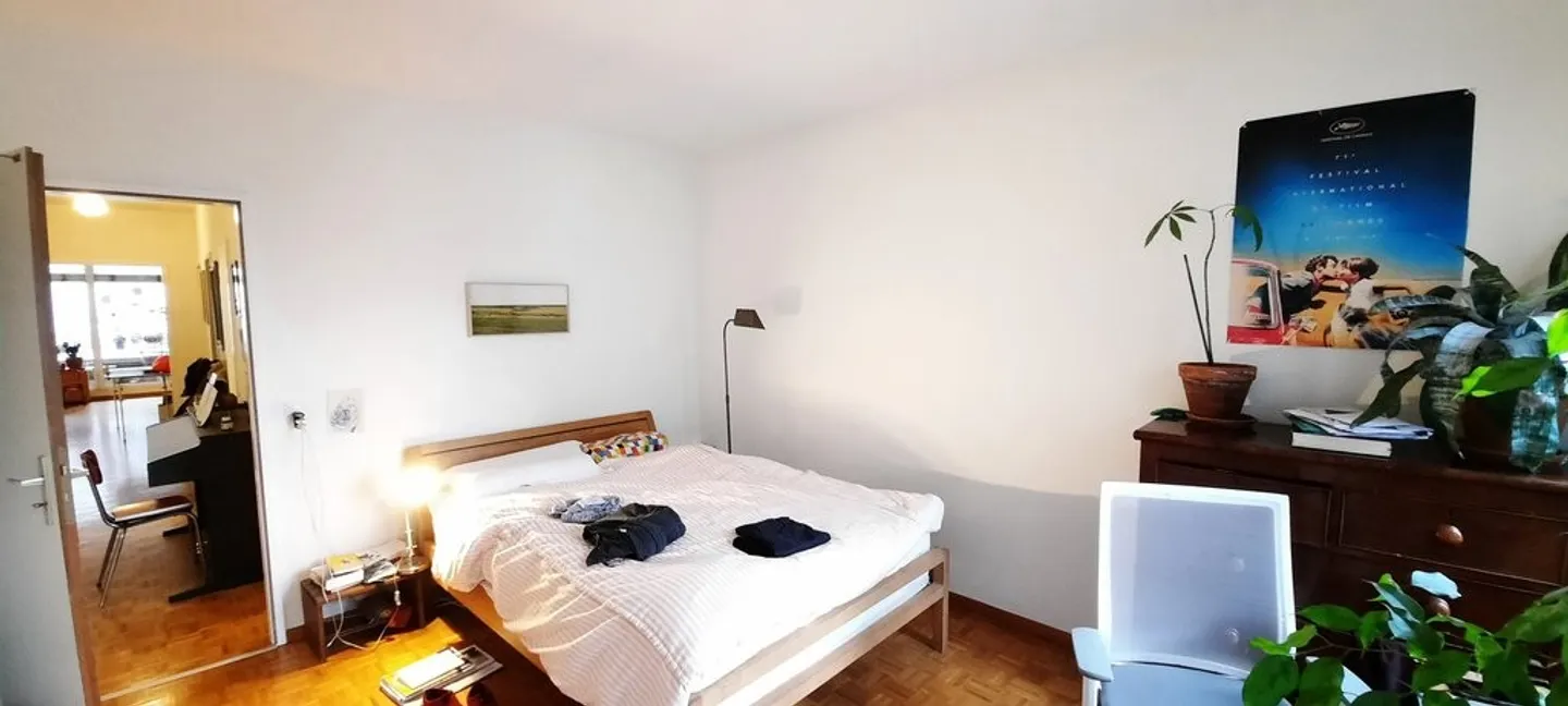 Spacious Apartment with Rhône View - Photo 6 of 12