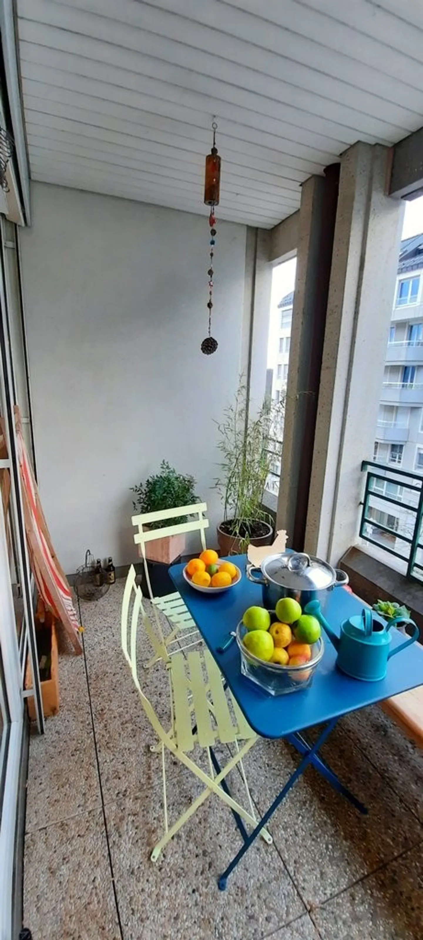 Spacious Apartment with Rhône View - Photo 11 of 12