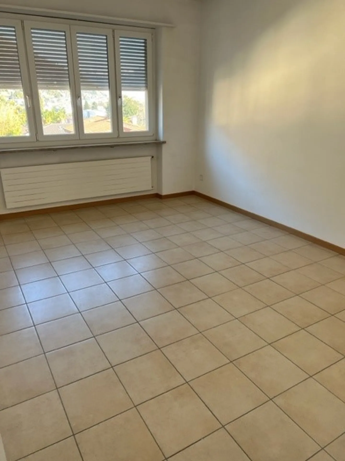 Affittasi attico di 4.5 locali da marzo 2026 - Foto 2 di 9