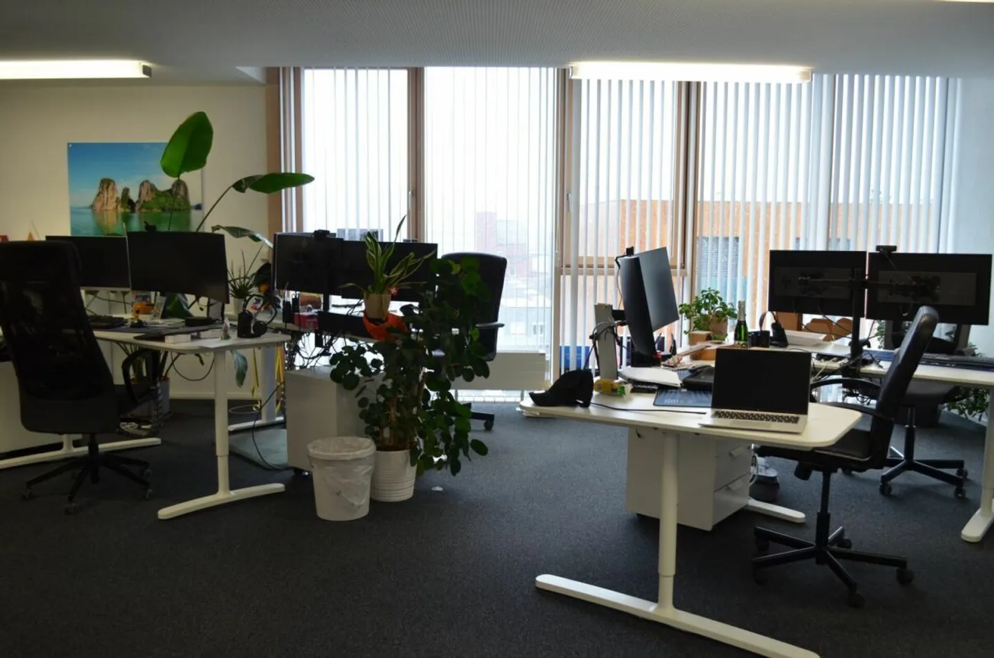 Modernes Büro mit Annehmlichkeiten - Foto 3 von 9
