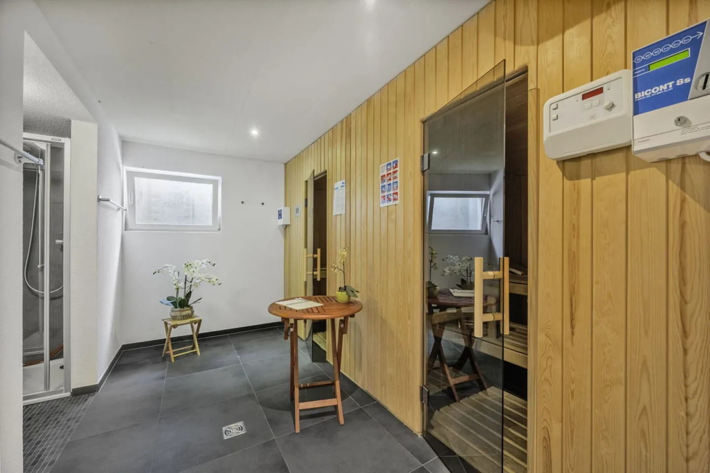 VIVERE IN RIVA AL LAGO Appartamento con giardino 4,5 stanze a Iseltwald - Foto 17 di 18