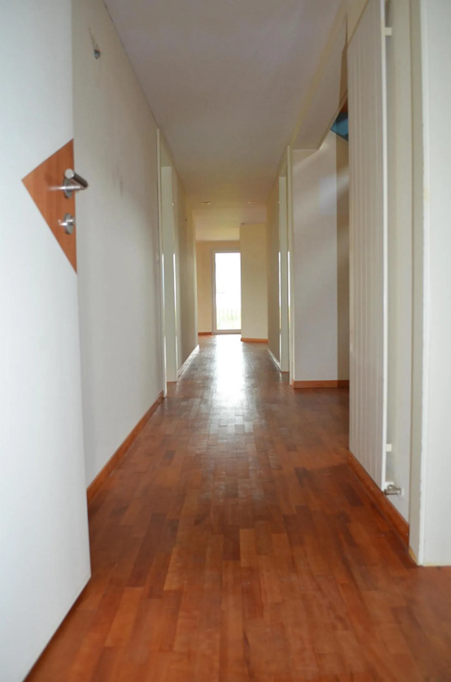 appartamento 3½ stanze ristrutturato e bello - Foto 3 di 10
