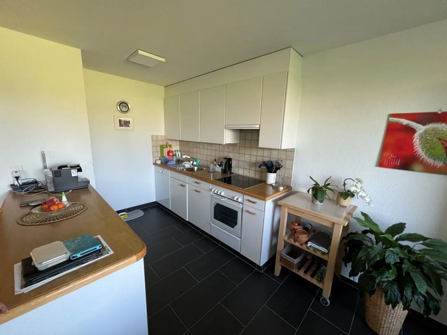 Attractive apartment with a beautiful view of greenery! - Photo 1 of 12