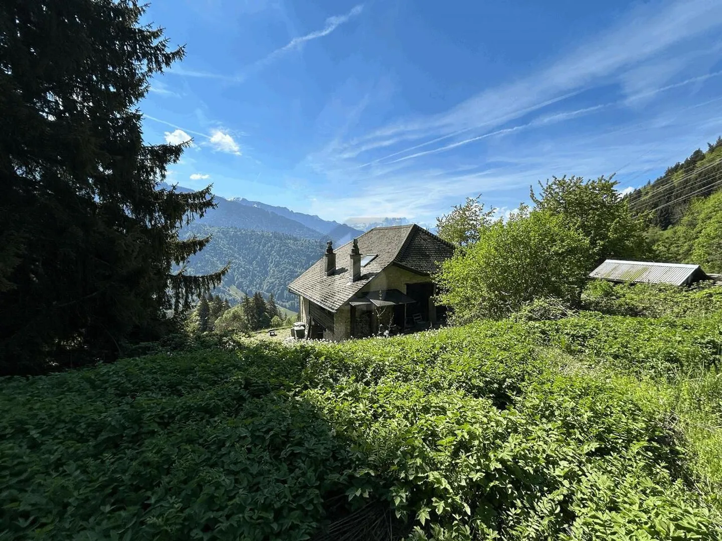 ECHTHEIT, AUSSICHT UND ABSOLUTE RUHE - Foto 1 von 6