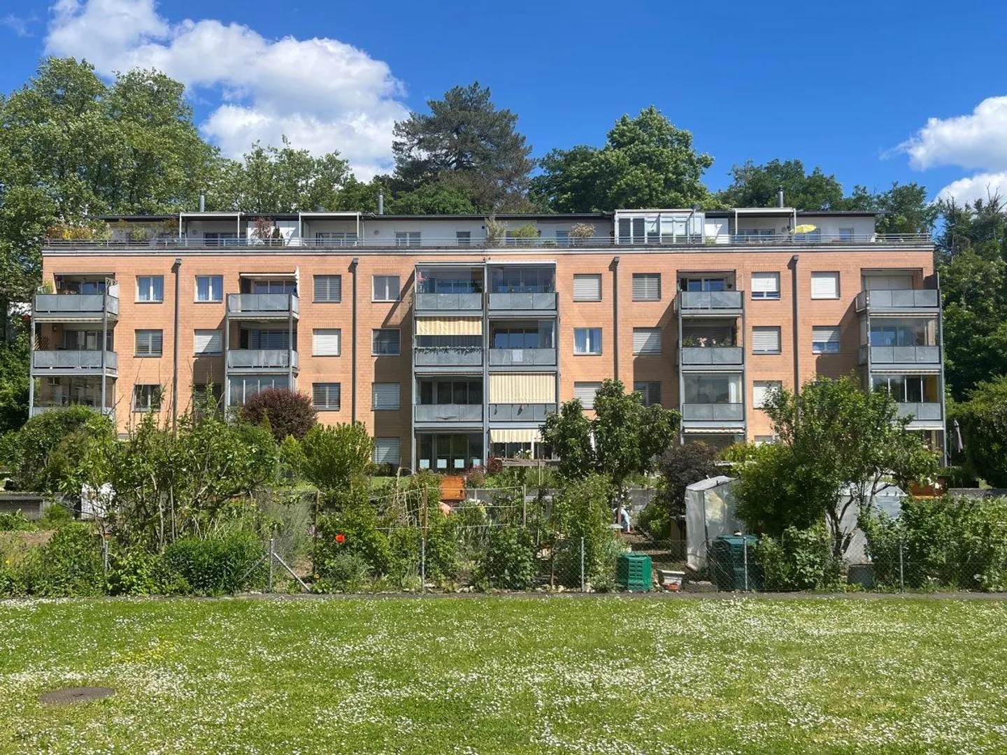 Appartamento soleggiato a Rheinfelden - Foto 1 di 1