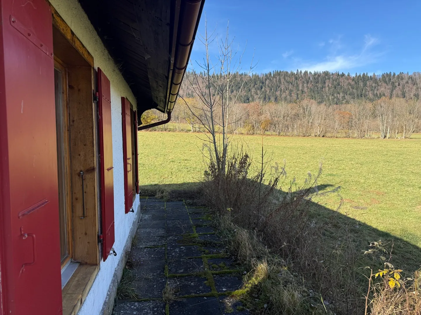 ENCHANTED PARENTHESIS - Photo 8 of 11