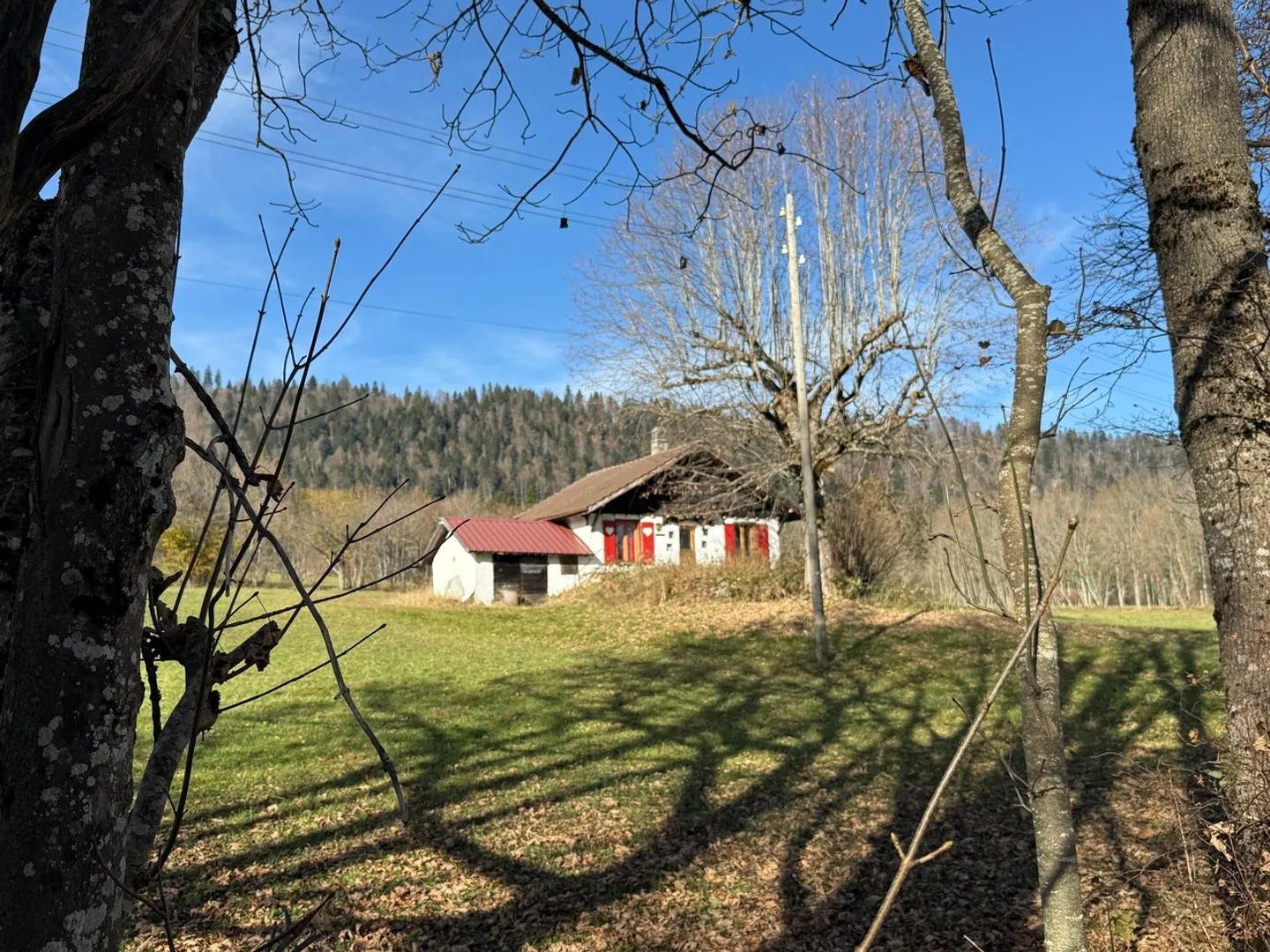 ENCHANTED PARENTHESIS - Photo 11 of 11