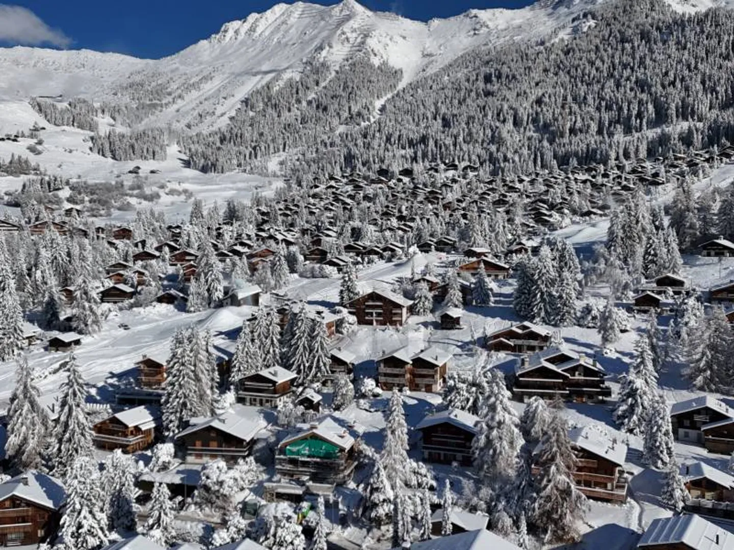 Chalet 10 Zimmer - Foto 4 von 8