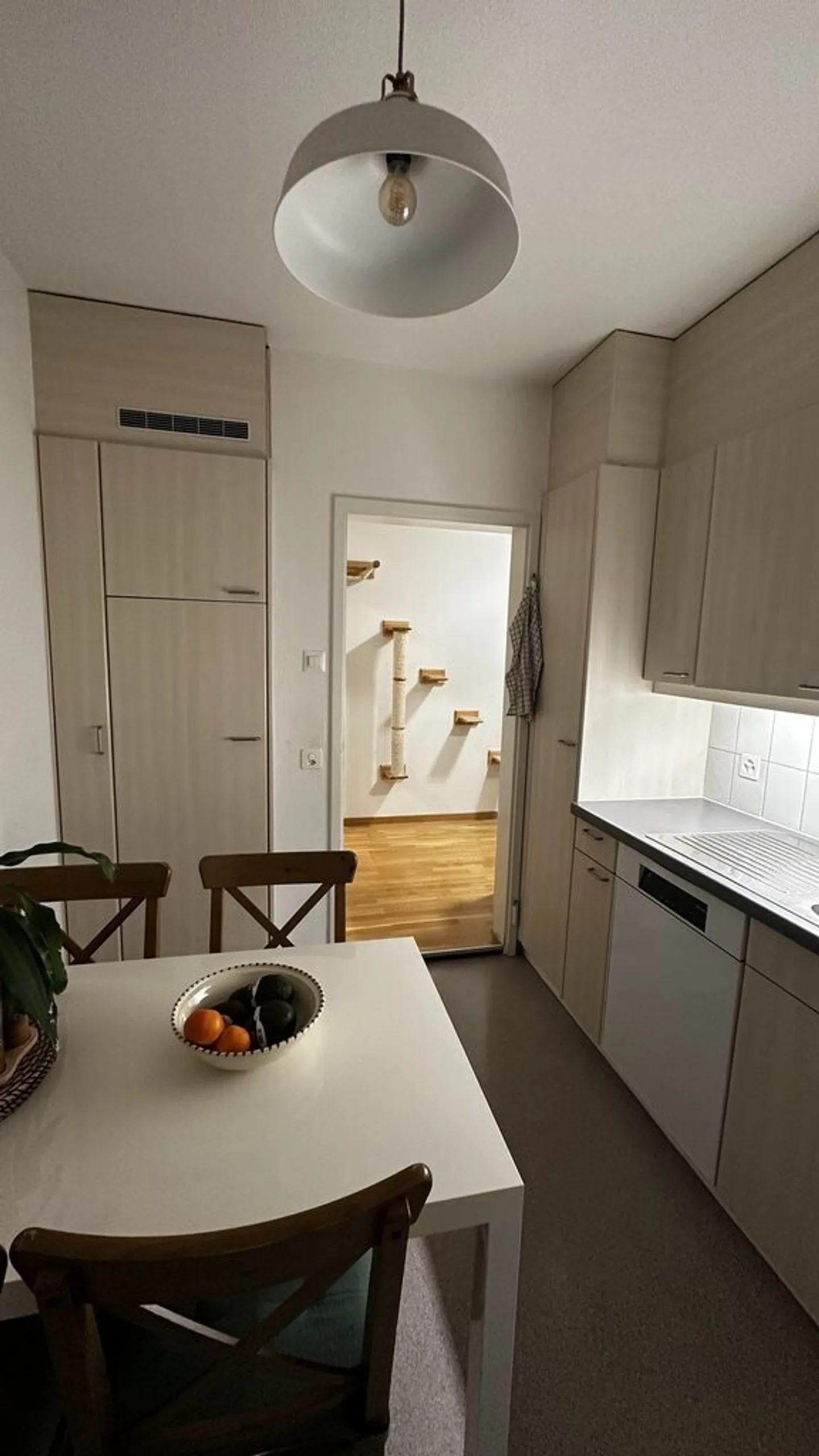 Your new living space in Zurich - Photo 7 of 10