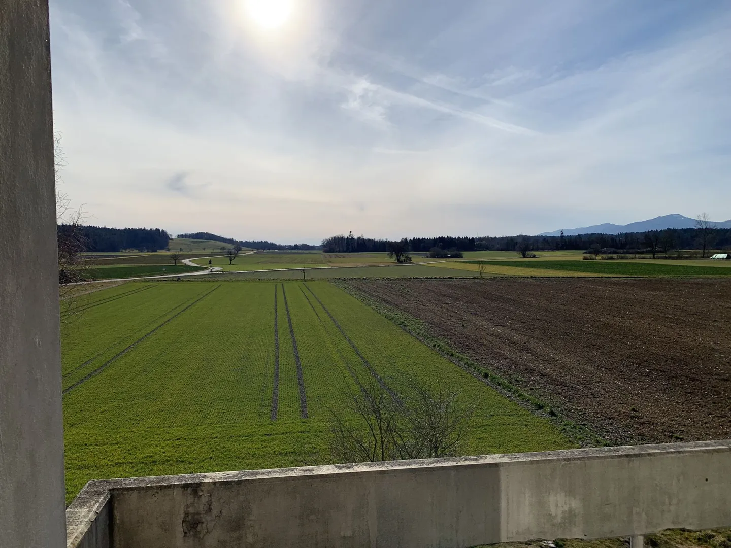 Appartement 3,5 pièces avec vue sur la verdure - Photo 6 sur 8