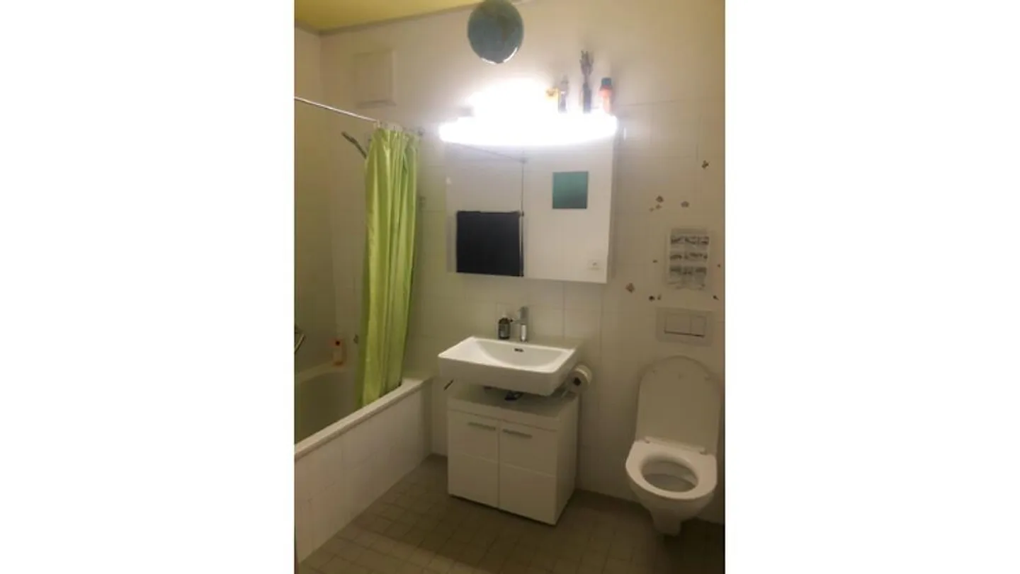 5½ ROOM APARTMENT IN WINTERTHUR - CITY, FURNISHED, TEMPORARY - Photo 7 of 10