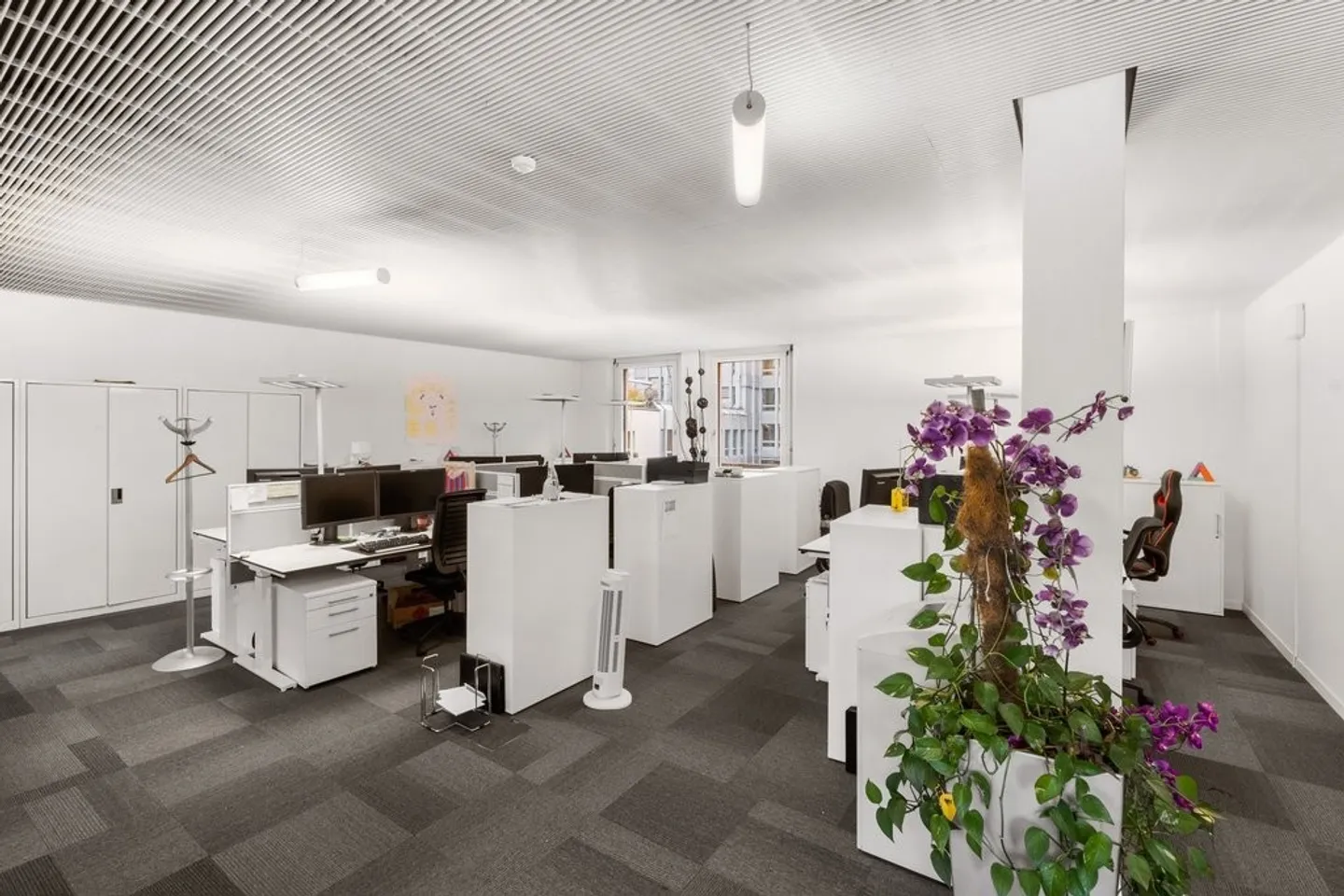 Espace de bureau à Olten - Photo 5 sur 11