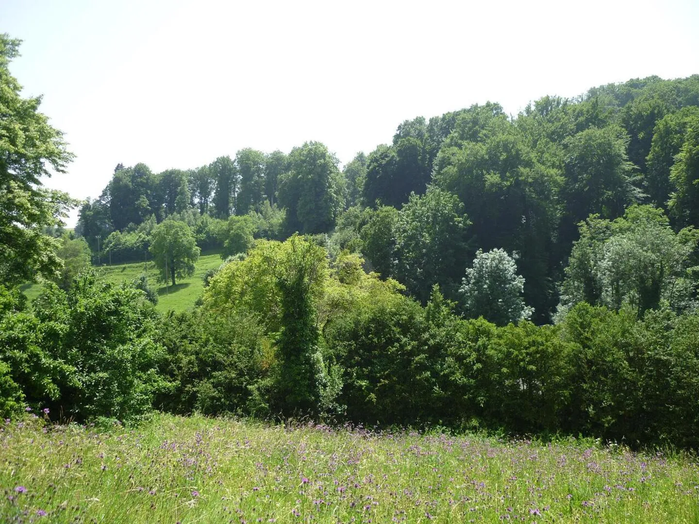 DUPLEX ATYPIQUE CHALEUREUX - Photo 2 sur 6