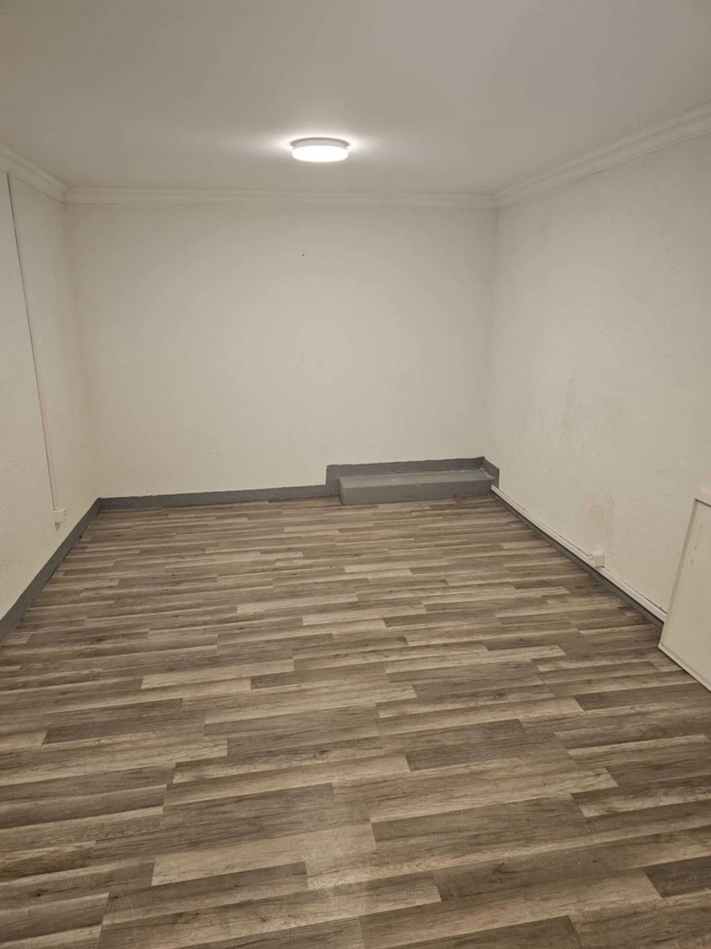 Ground Floor Storage - Photo 3 of 6