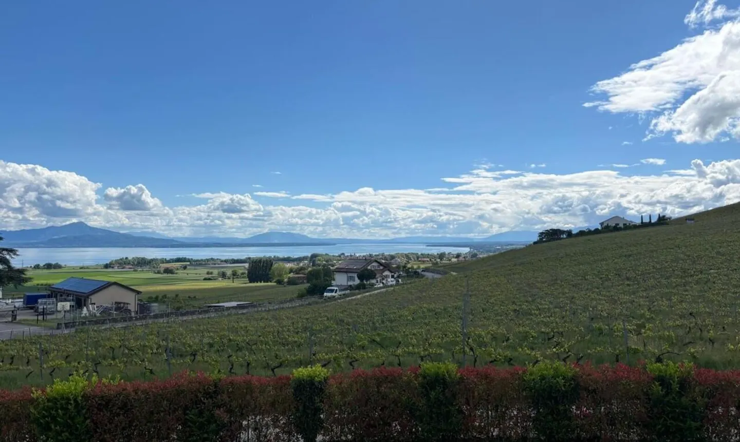 Casa contemporanea con volumi eccezionali e vista sul lago e sulle Alpi - Foto 1 di 11