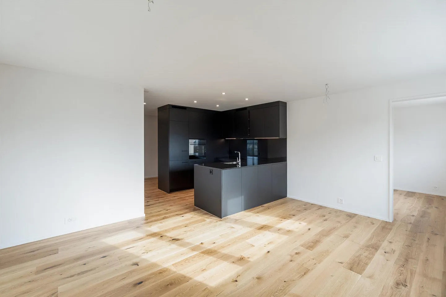 Your new home in the St. Gallen Rhine Valley - Photo 4 of 10