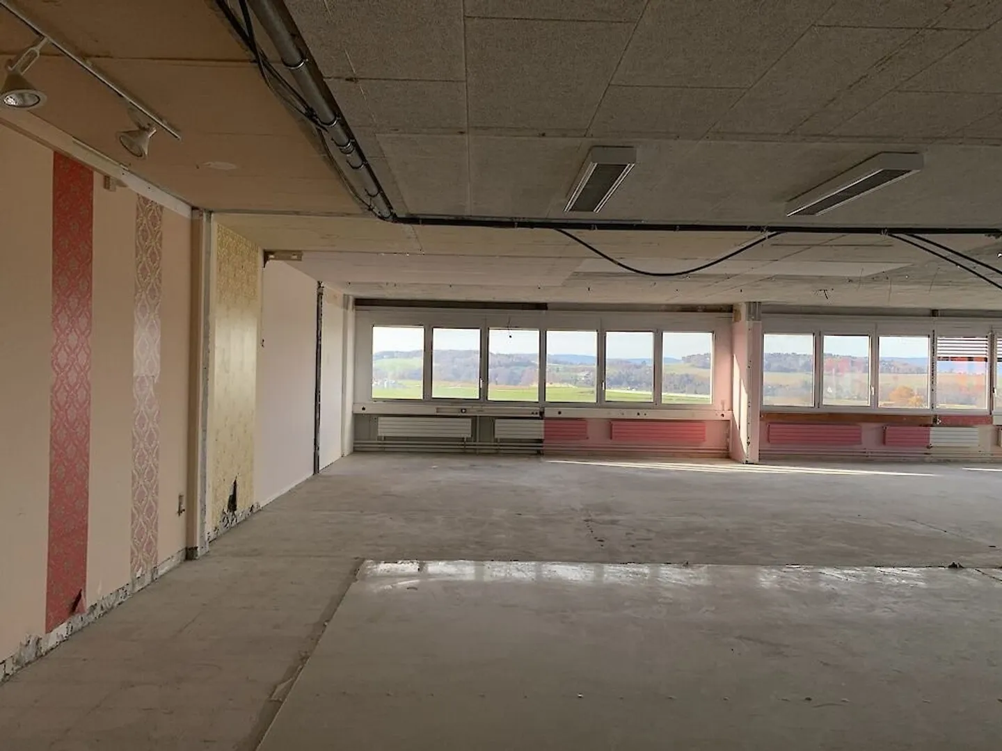 Geräumiger Gewerberaum in Düdingen - Foto 7 von 13