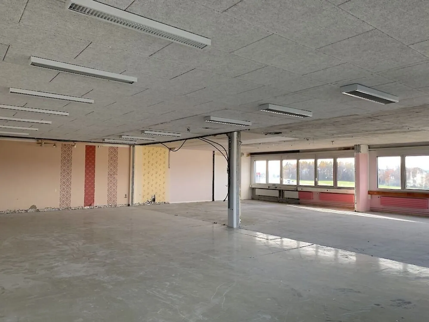 Geräumiger Gewerberaum in Düdingen - Foto 8 von 13