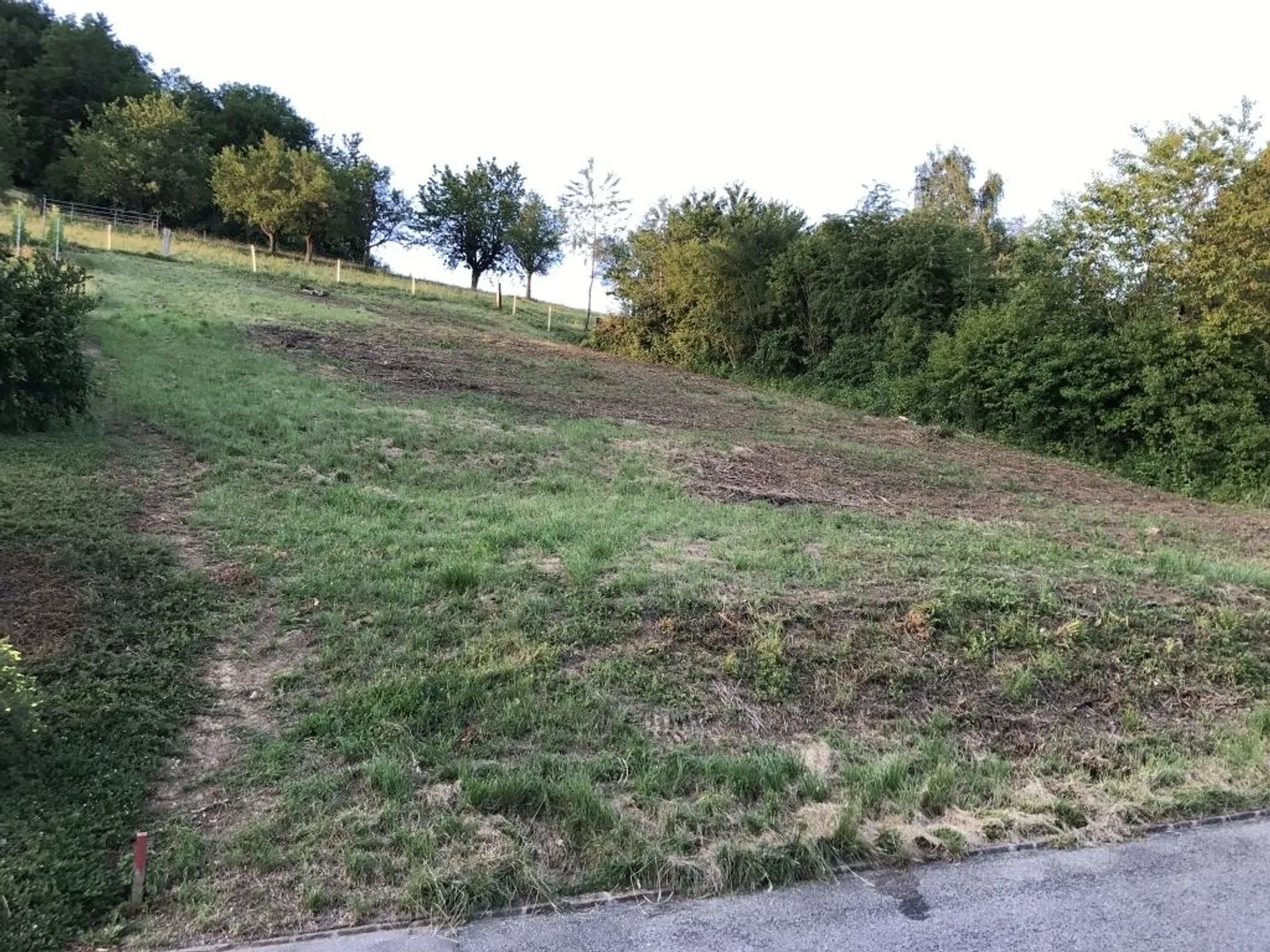Attraktives Baugrundstück in Rothenfluh - Foto 4 von 5