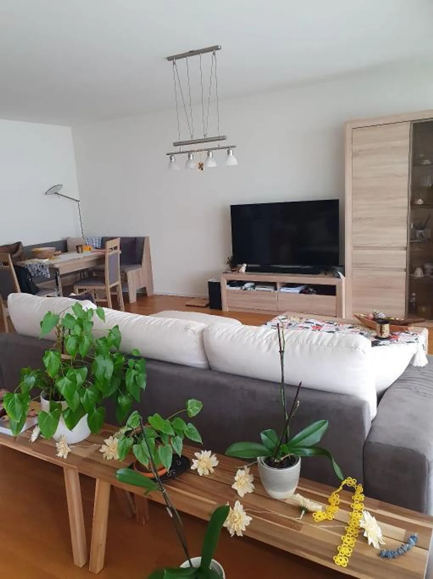Modernes 3.5-Zimmer-Apartment - Foto 4 von 9