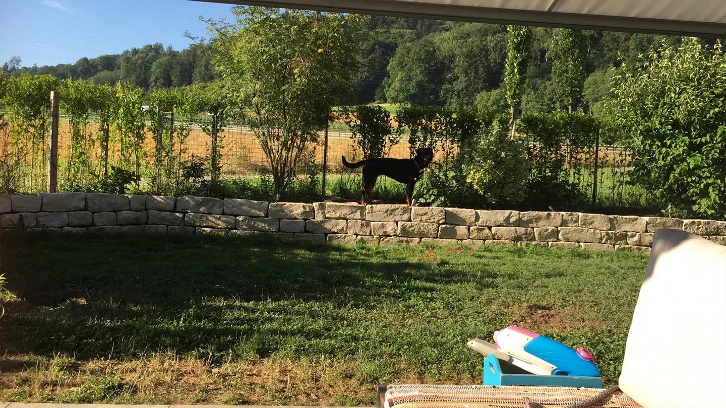 Belle appartement de jardin 3.5 avec patio couvert et salle de loisirs - Photo 26 sur 26