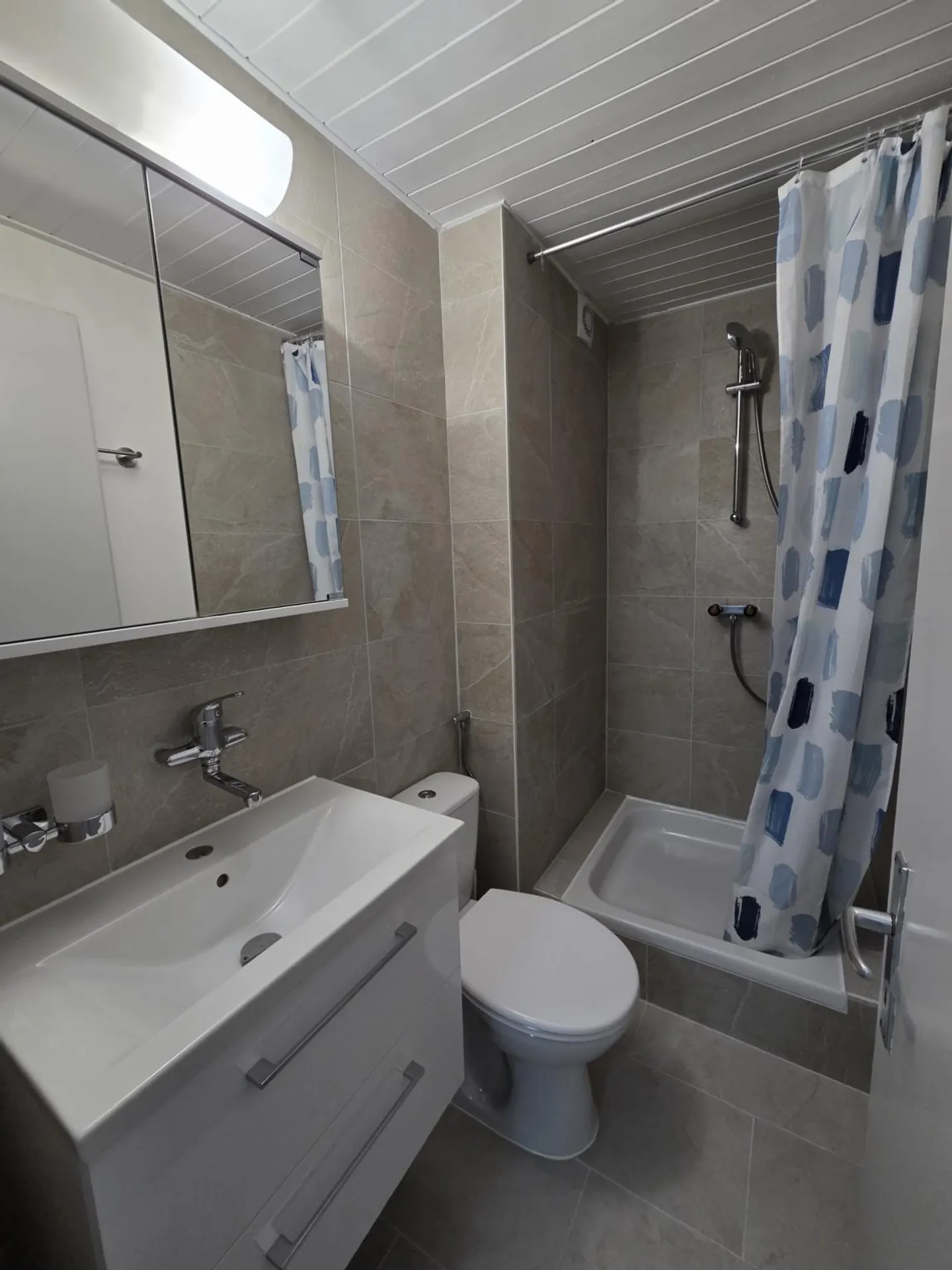 Renovated 1-room apartment for rent near the Fribourg Cathedral - Photo 4 of 5