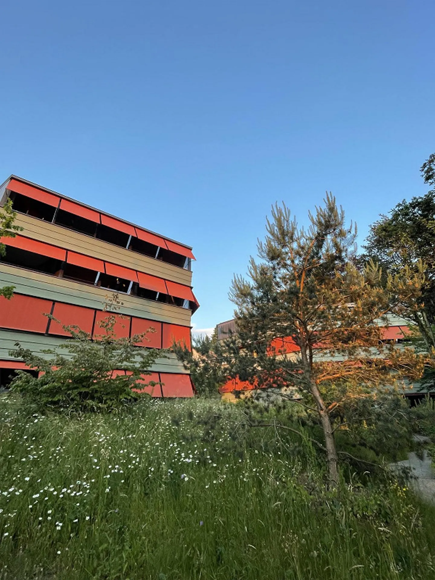 Recherche de locataire – Appartement 2.5 pièces à Seefeld - Photo 1 sur 5