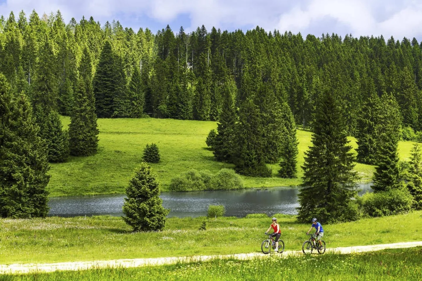 Zwei hochwertige Einfamilienhäuser - Foto 11 von 15