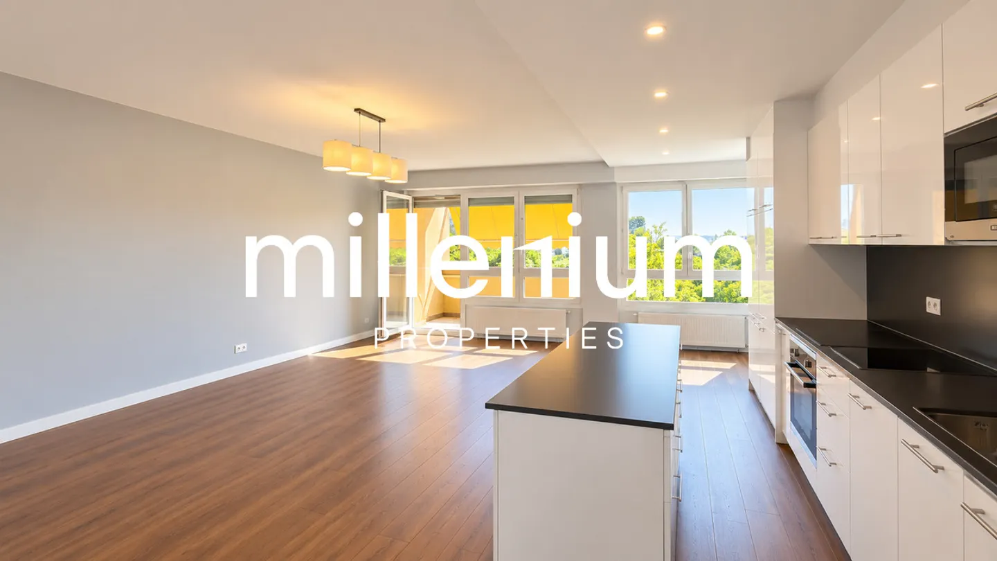 Renovated Apartment in Thônex - Photo 5 of 11