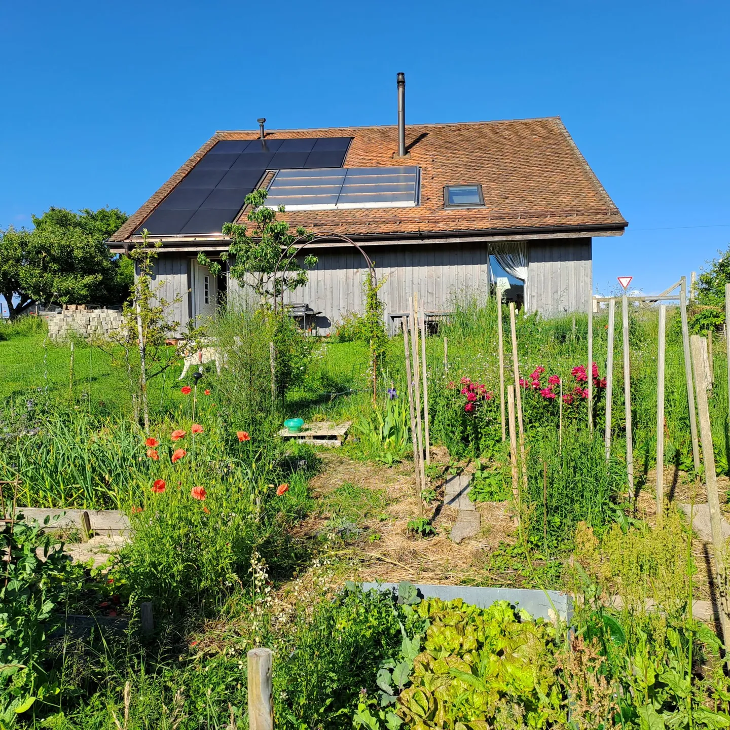 Einfamilienhaus - Foto 2 von 12