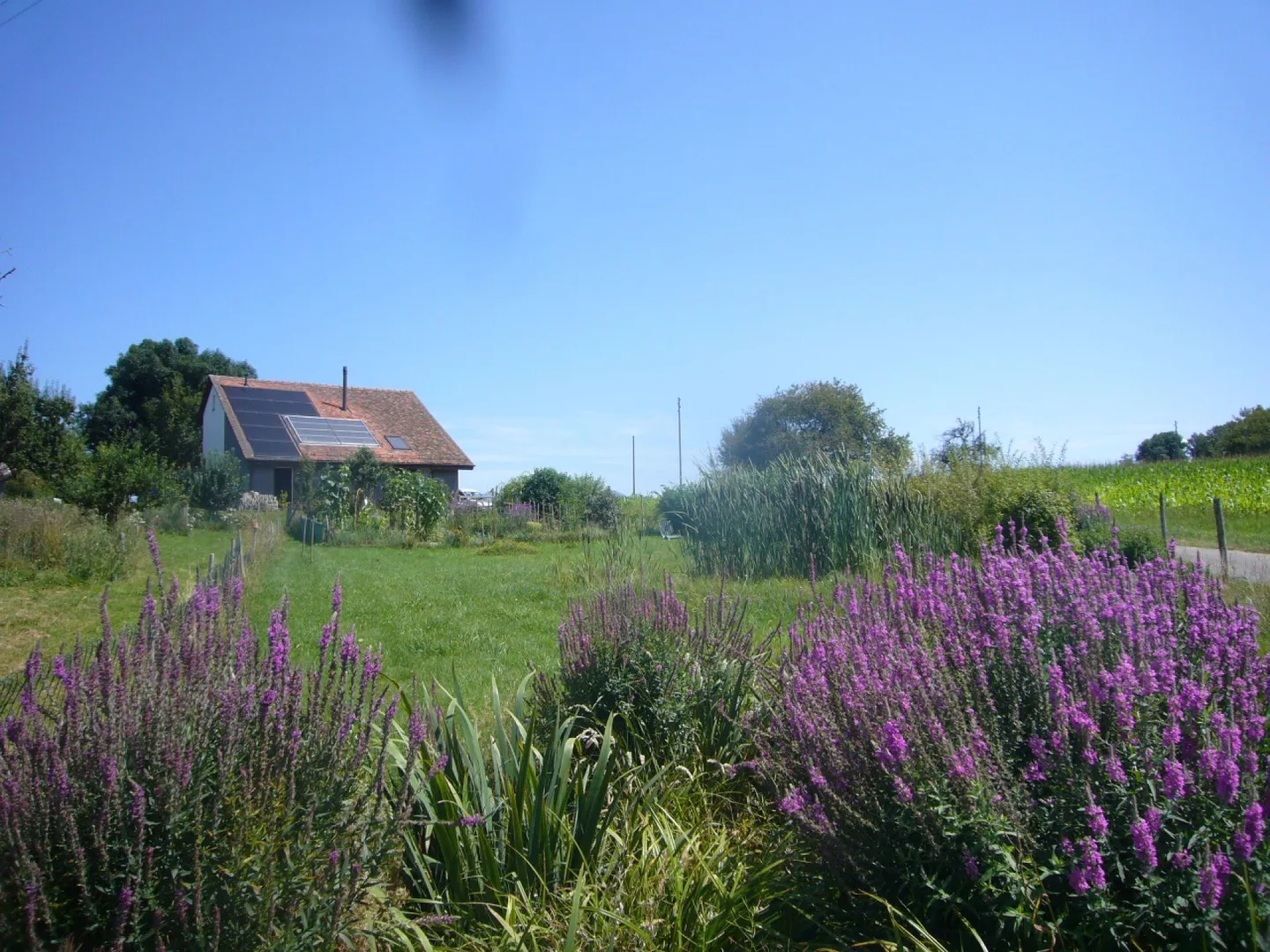 Einfamilienhaus - Foto 3 von 12