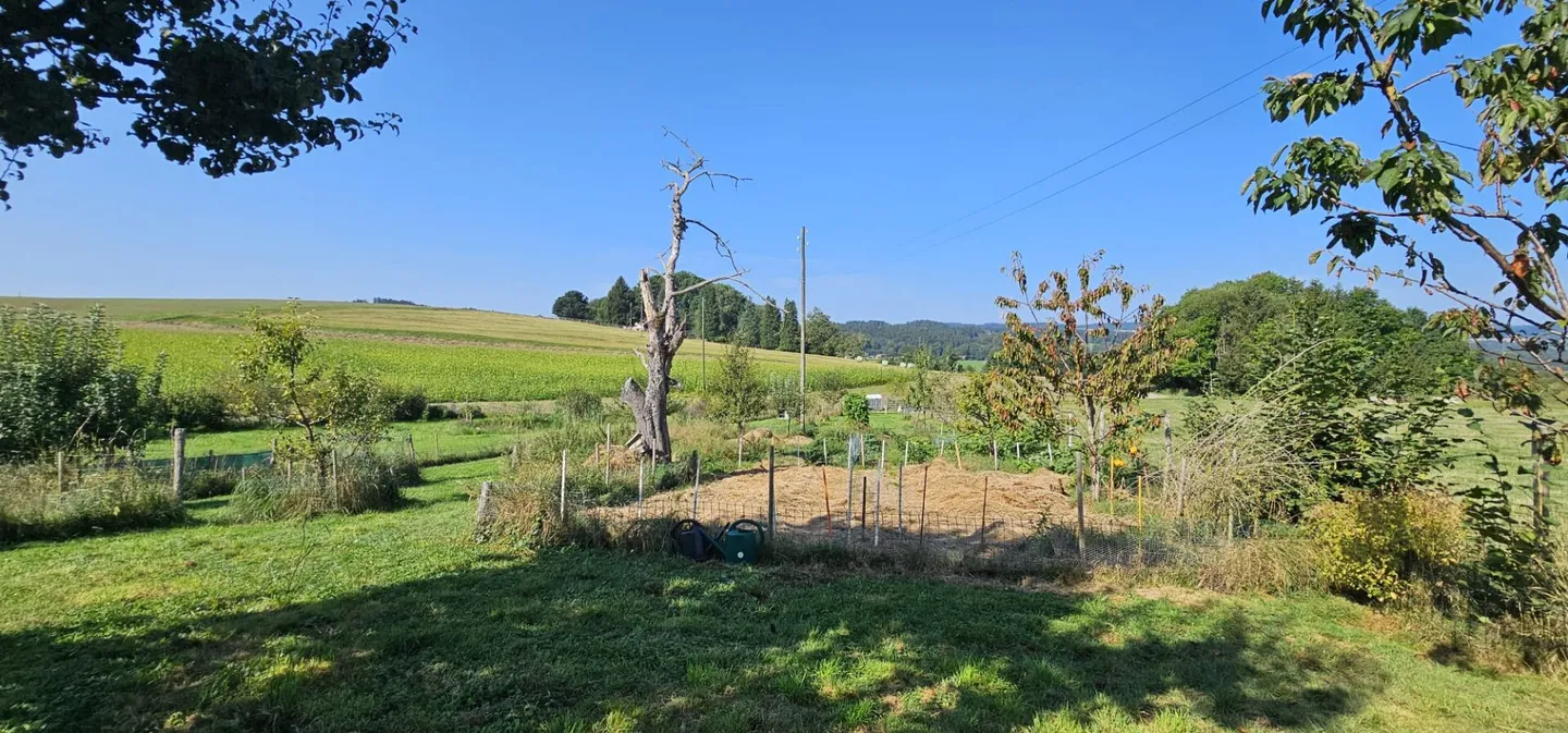 Einfamilienhaus - Foto 8 von 12