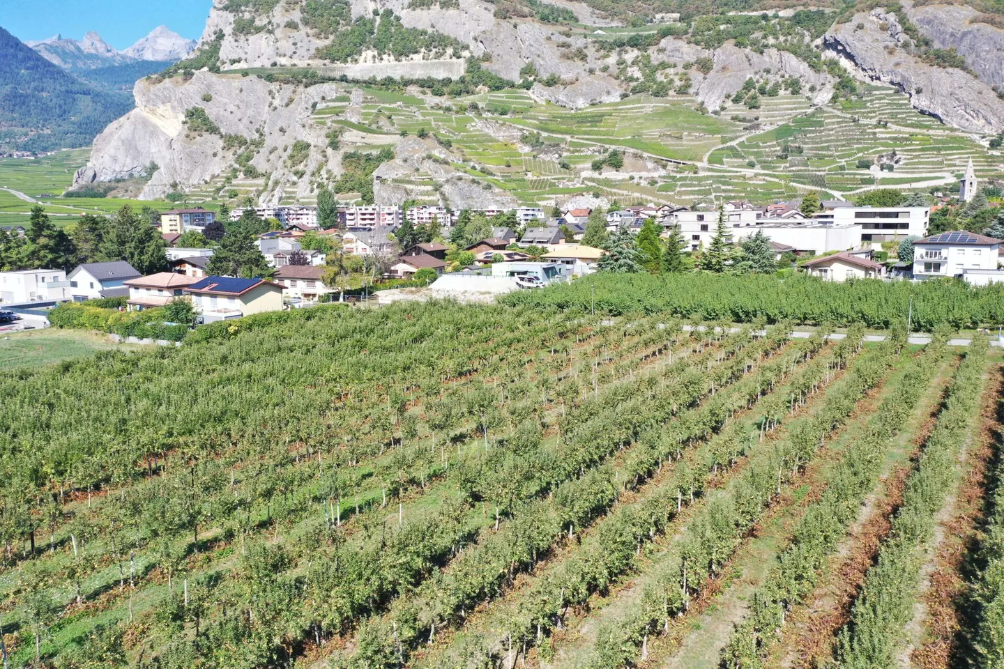 Fd'A - New individual villa of 5.5 rooms, on plan, Villa End of Alley - Photo 12 of 18