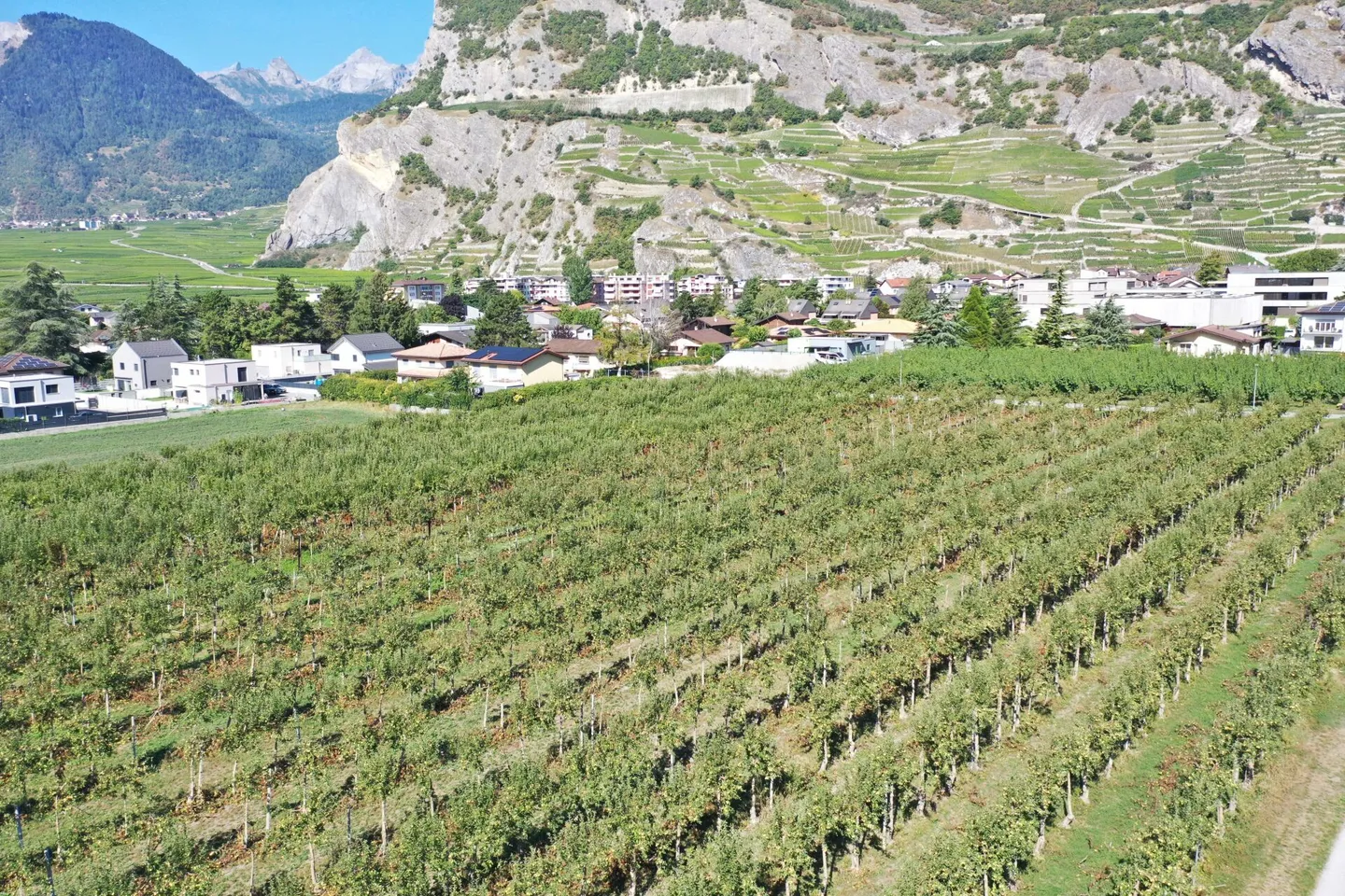 Fd'A - New individual villa of 5.5 rooms, on plan, Villa End of Alley - Photo 16 of 18