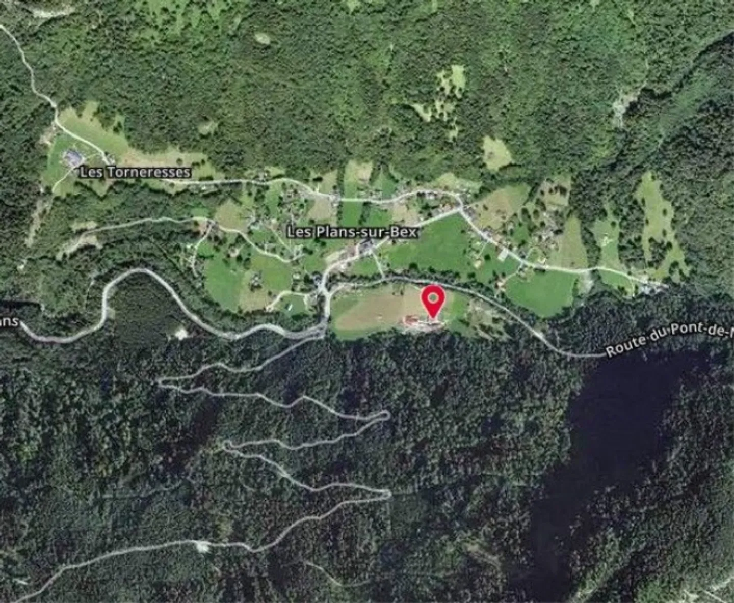 *Abitazione con pascolo e foresta* - Foto 4 di 6