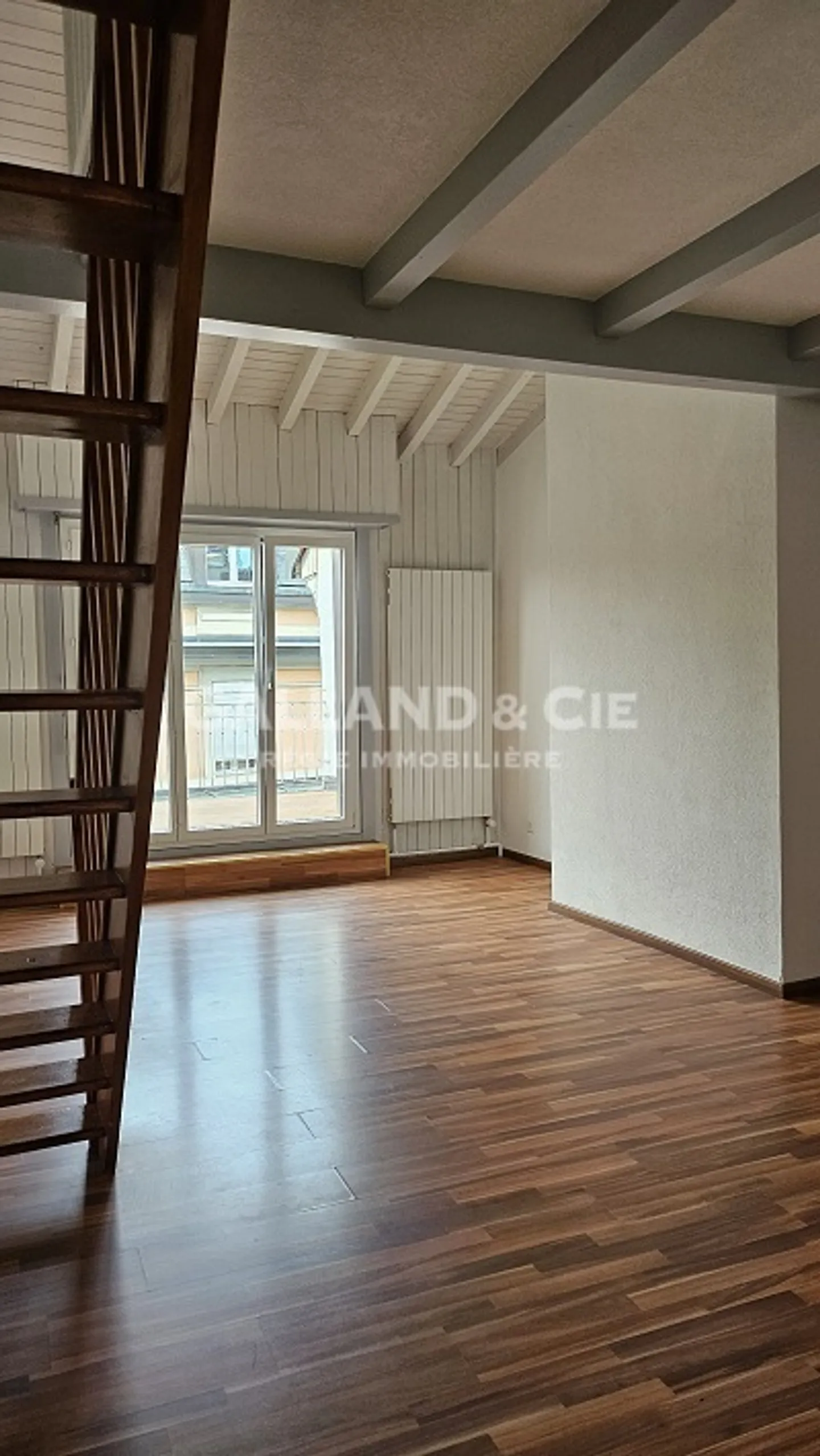 Large 1-room penthouse apartment - Photo 3 of 5