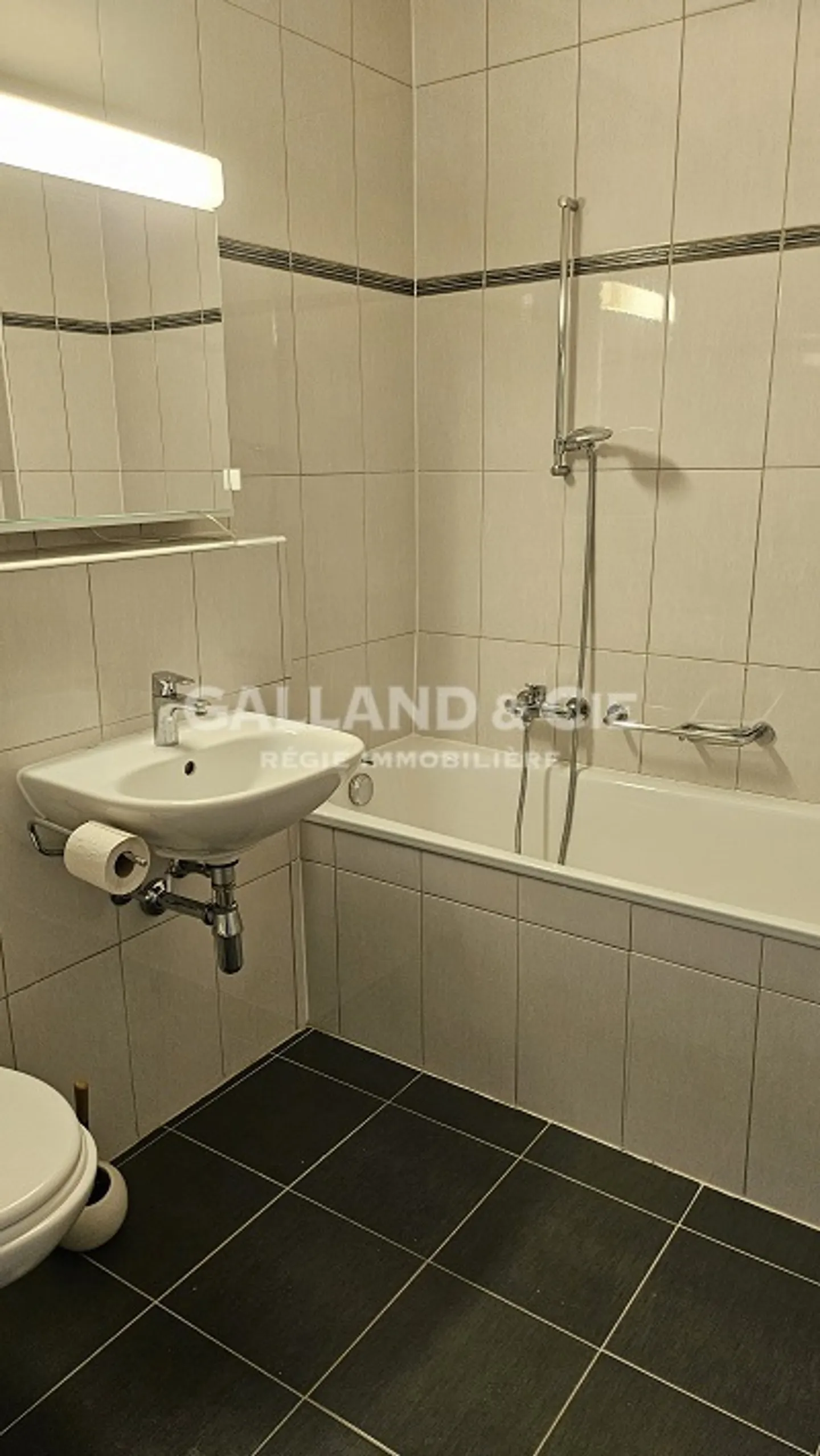 Large 1-room penthouse apartment - Photo 4 of 5