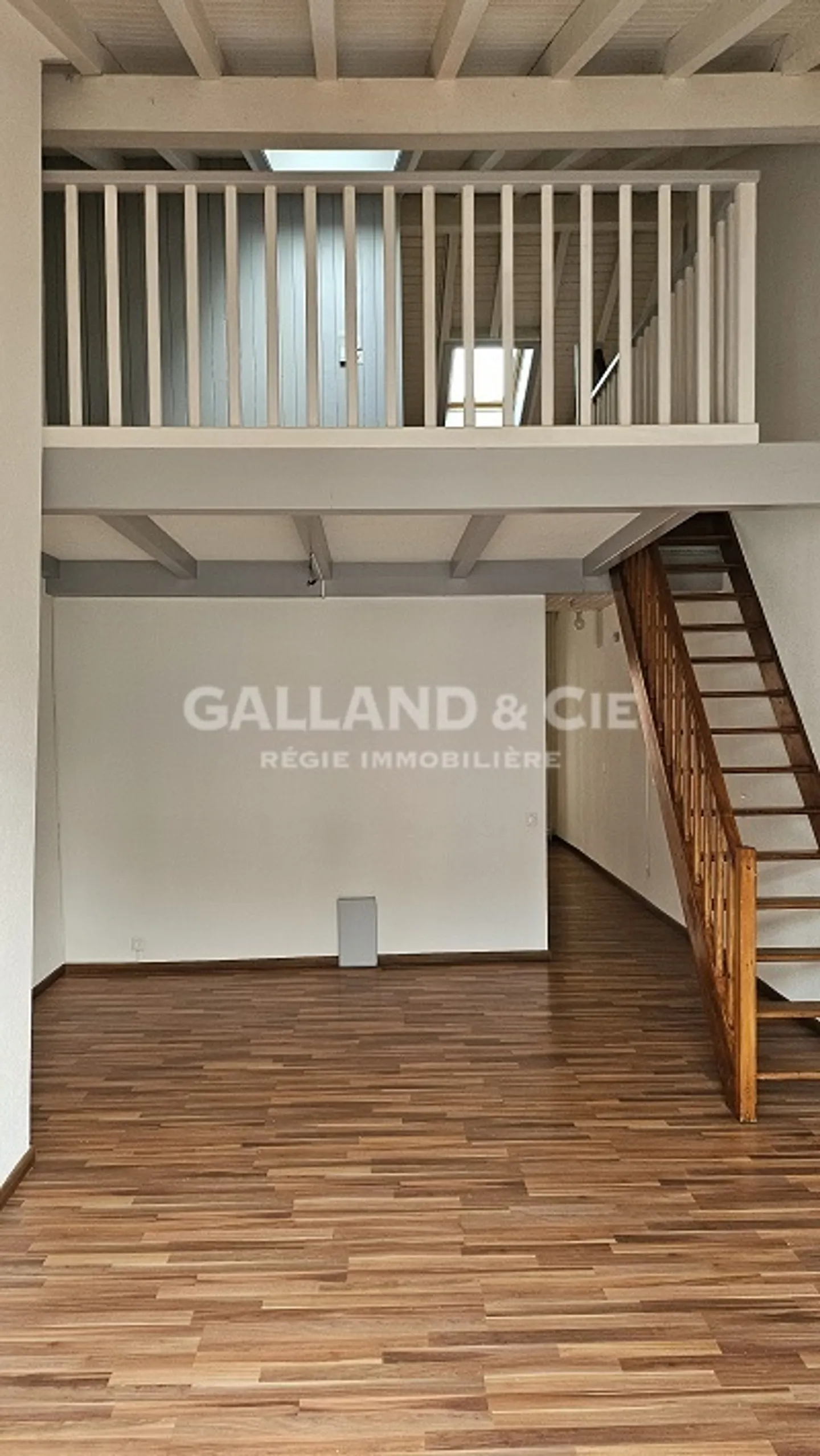 Large 1-room penthouse apartment - Photo 5 of 5