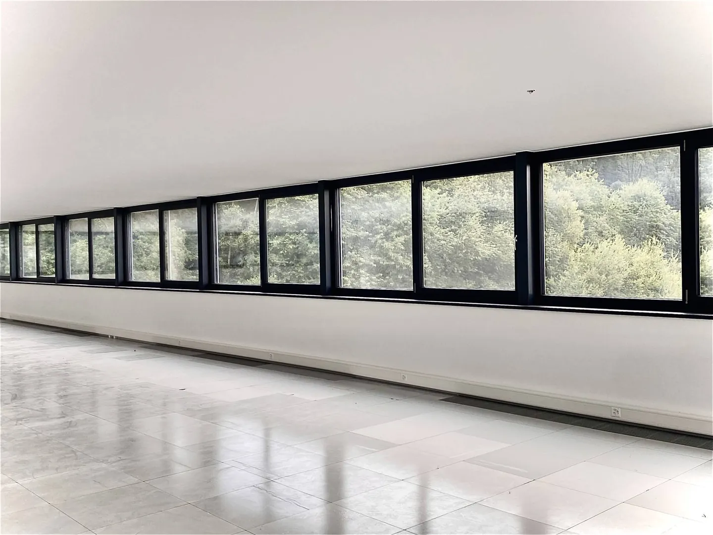 Laboratorio, laboratorio, nuovi locali di 140 m2 in affitto a 10 minuti da Friburgo - Foto 4 di 7