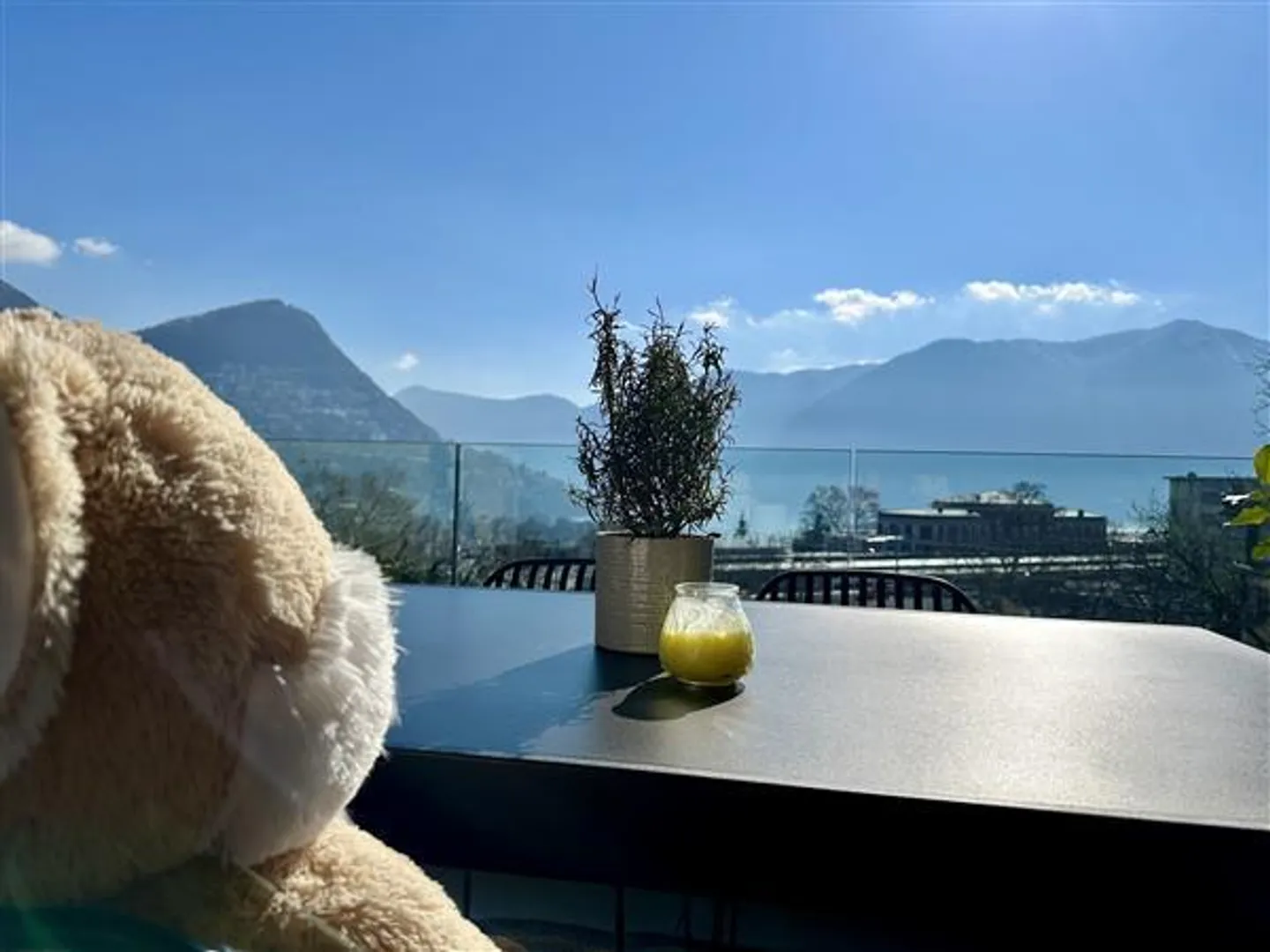 Lugano : Appartement 4,5 pièces - Photo 10 sur 13
