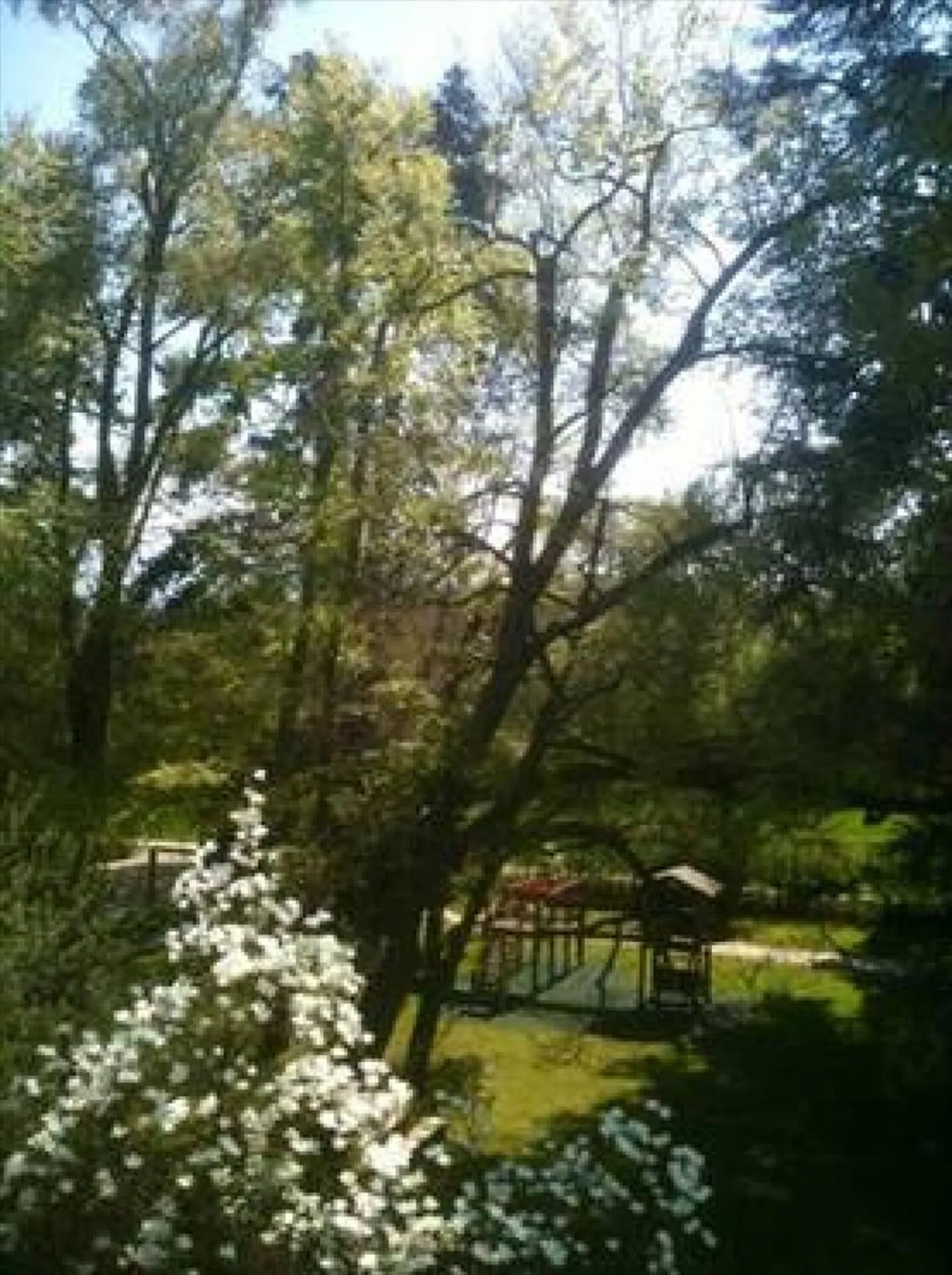 Appartamento eccezionale in parco privato con piscina a Bellevue - Foto 8 di 8