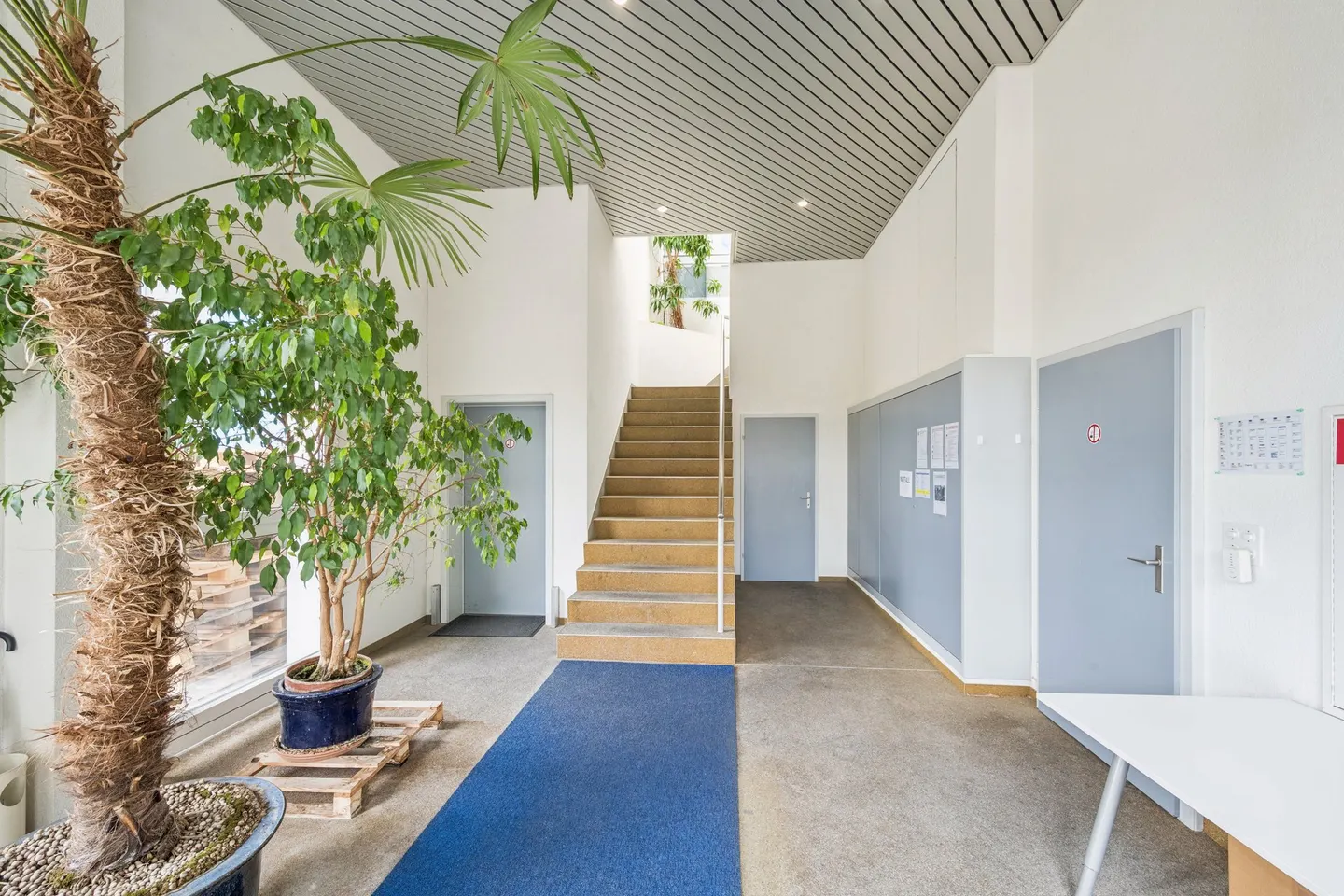 Espace commercial polyvalent à Möhlin - Photo 3 sur 9