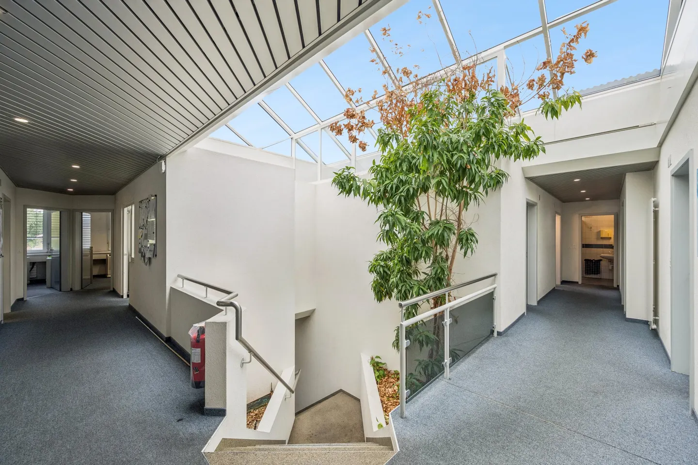 Espace commercial polyvalent à Möhlin - Photo 4 sur 9