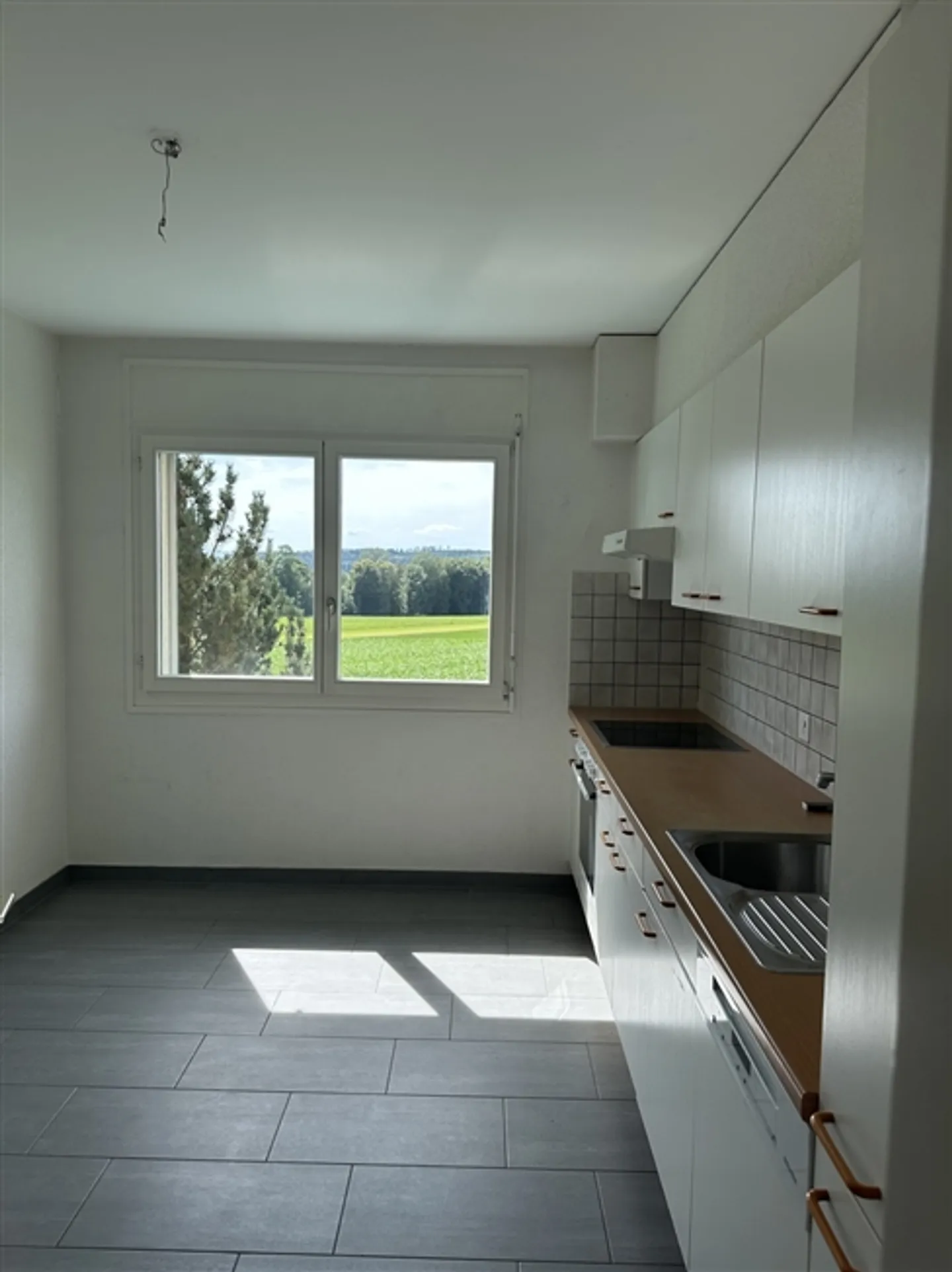 CORMÉROD – 2 spacious apartments 4.5 and 5.5 rooms with balcony or garden - Photo 4 of 12