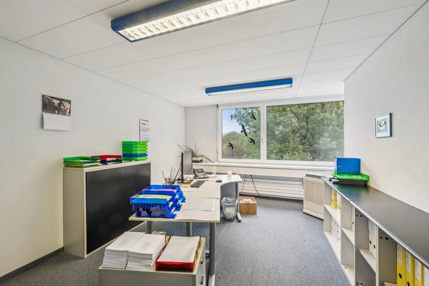 Espace commercial polyvalent à Möhlin - Photo 6 sur 9