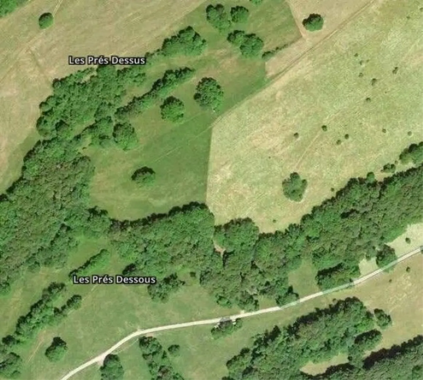 *Campo, prato, pascolo cabina* - Foto 1 di 3