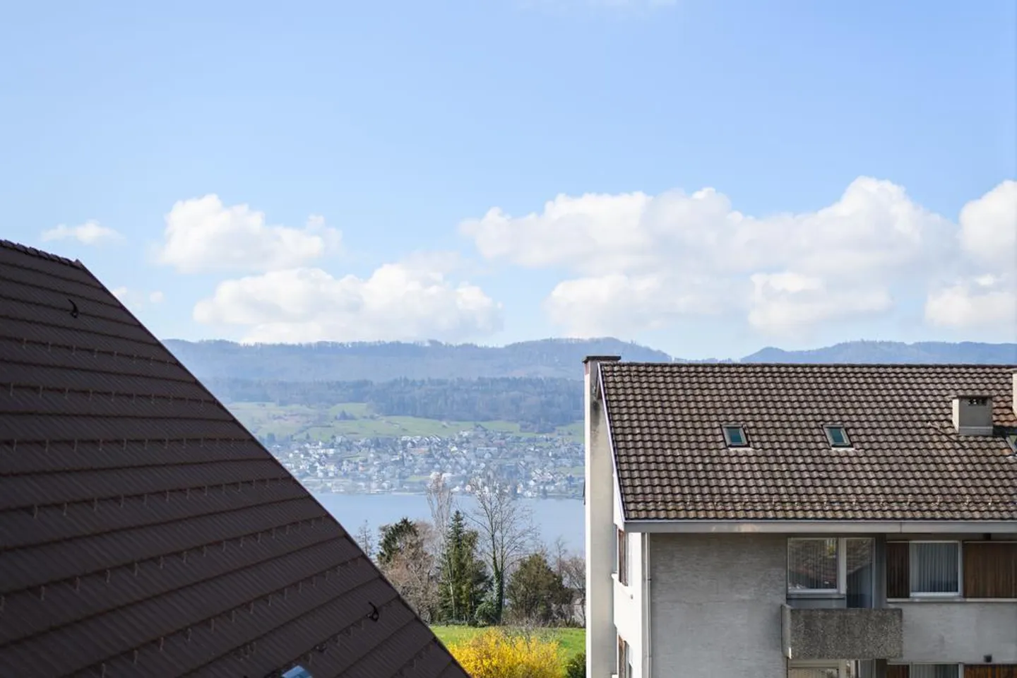 1.5 Room Apartment - Photo 6 of 6