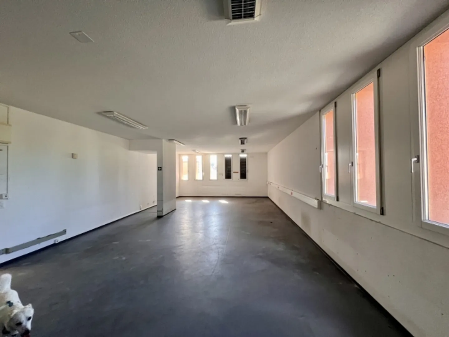 Versatile commercial space (92 m²) on the ground floor in Gurmels available immediately - Photo 1 of 6